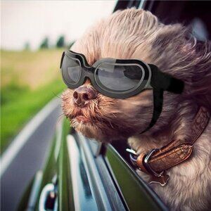 Dog Goggles Small Breed UV Lens Doggy Sunglasses for Small Dogs Eyes Protection